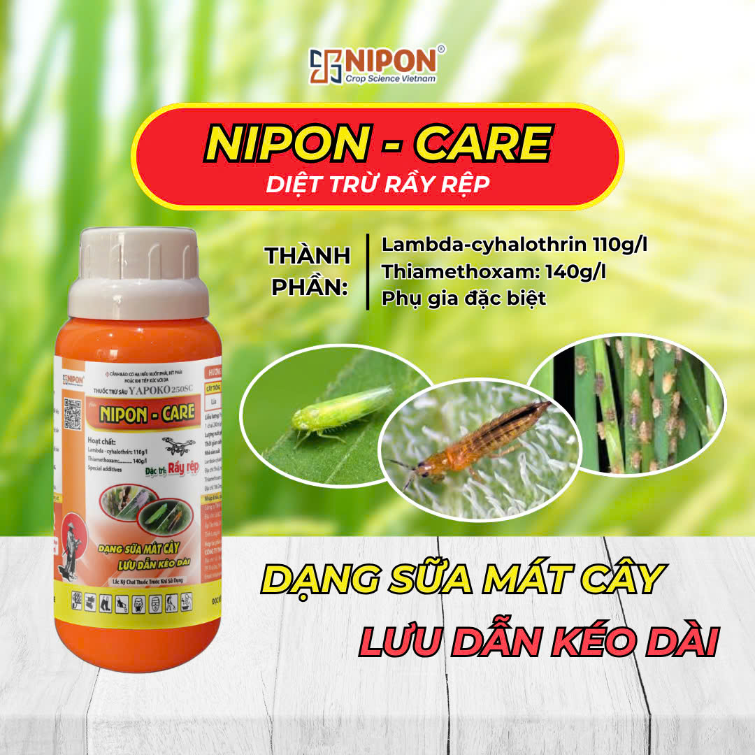 NIPON - CARE