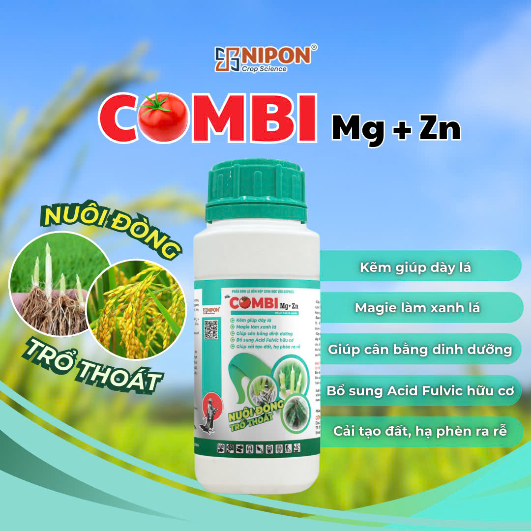 COMBI Mg+Zn