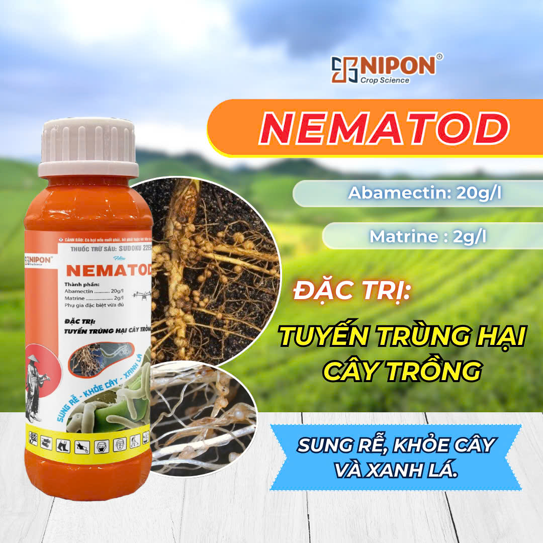 NEMA TOD