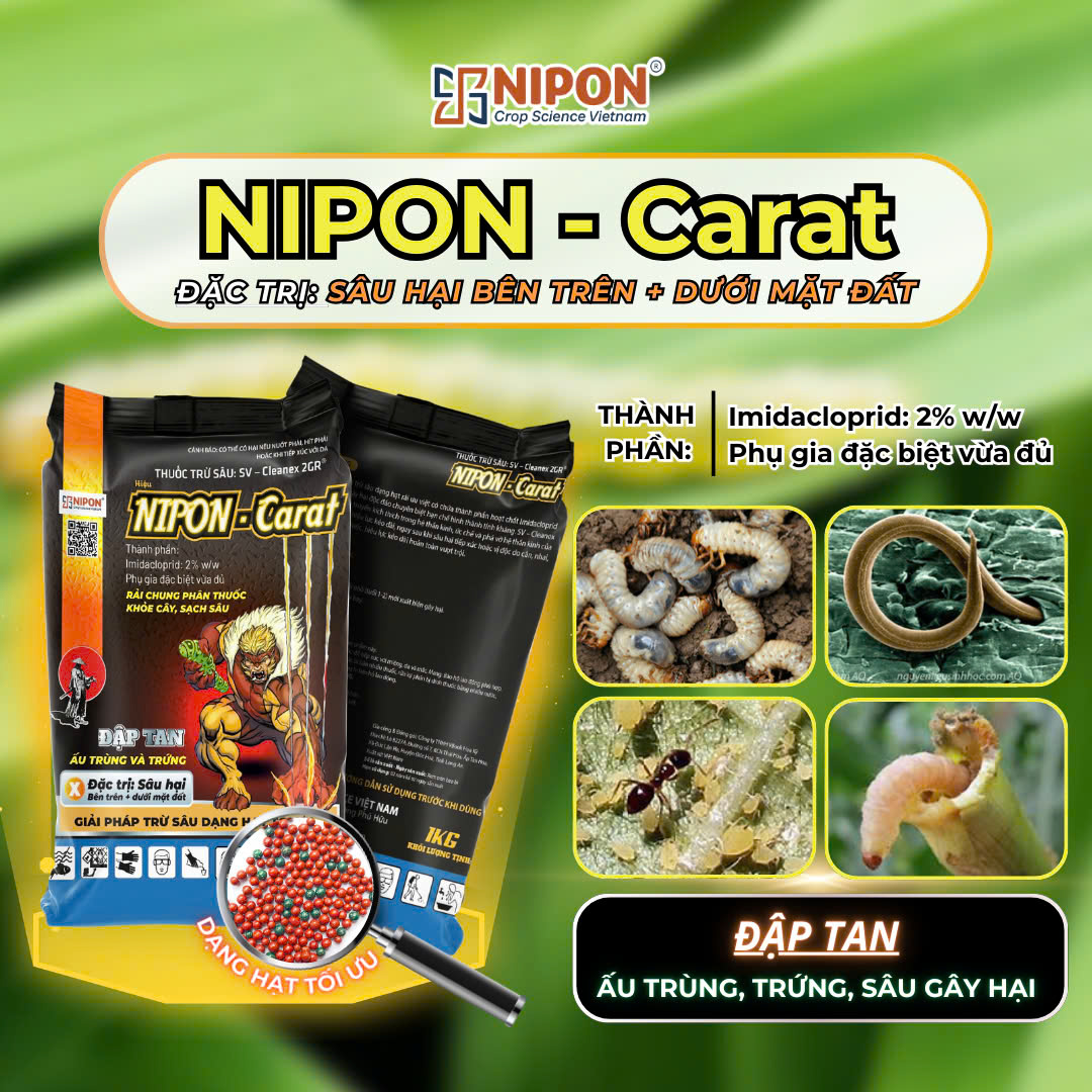 NIPON-CARAT