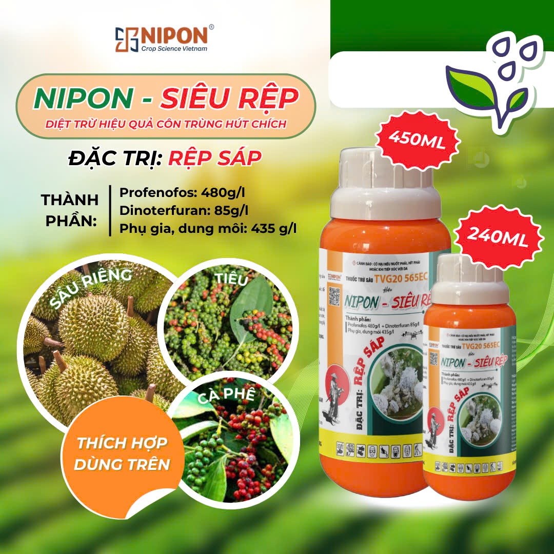 NIPON - SIÊU RỆP