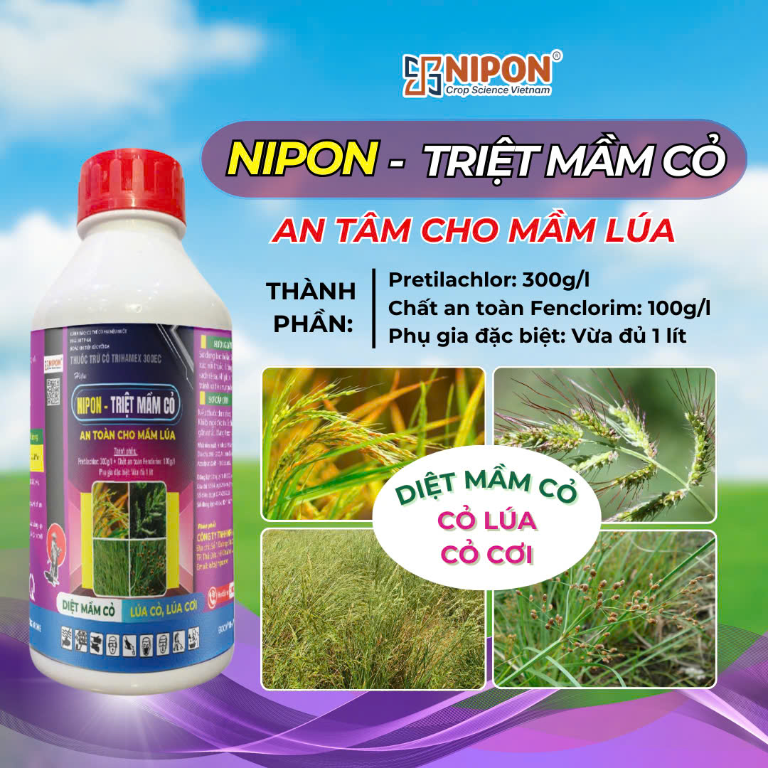 NIPON - TRIỆT MẦM CỎ