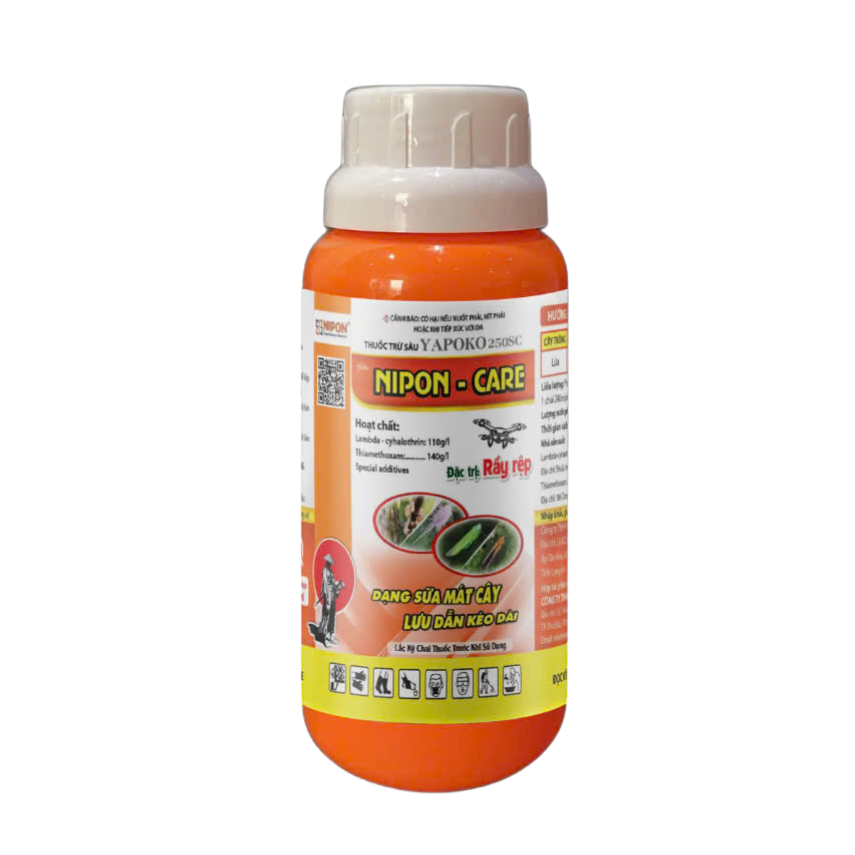NIPON - CARE