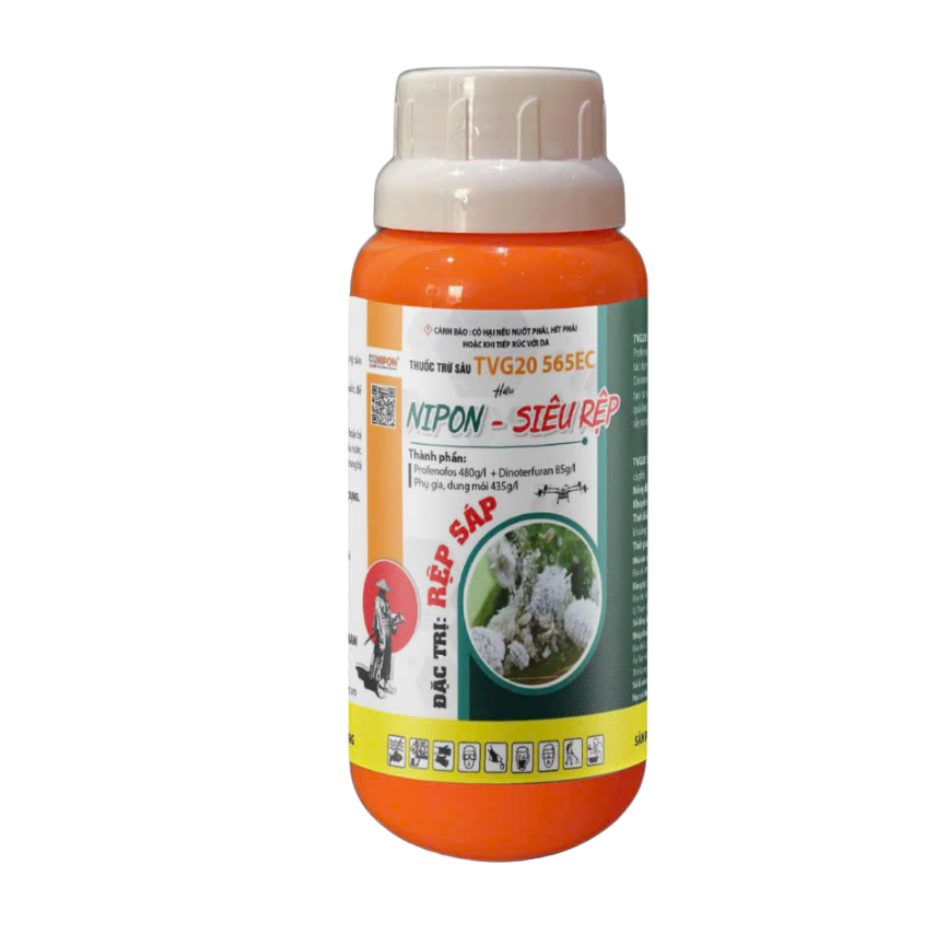 NIPON - SIÊU RỆP