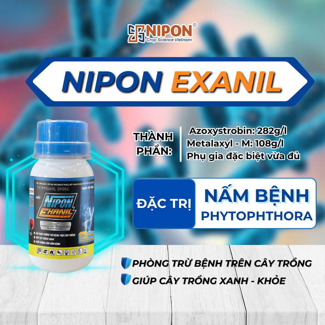NIPON EXANIL 100ML
