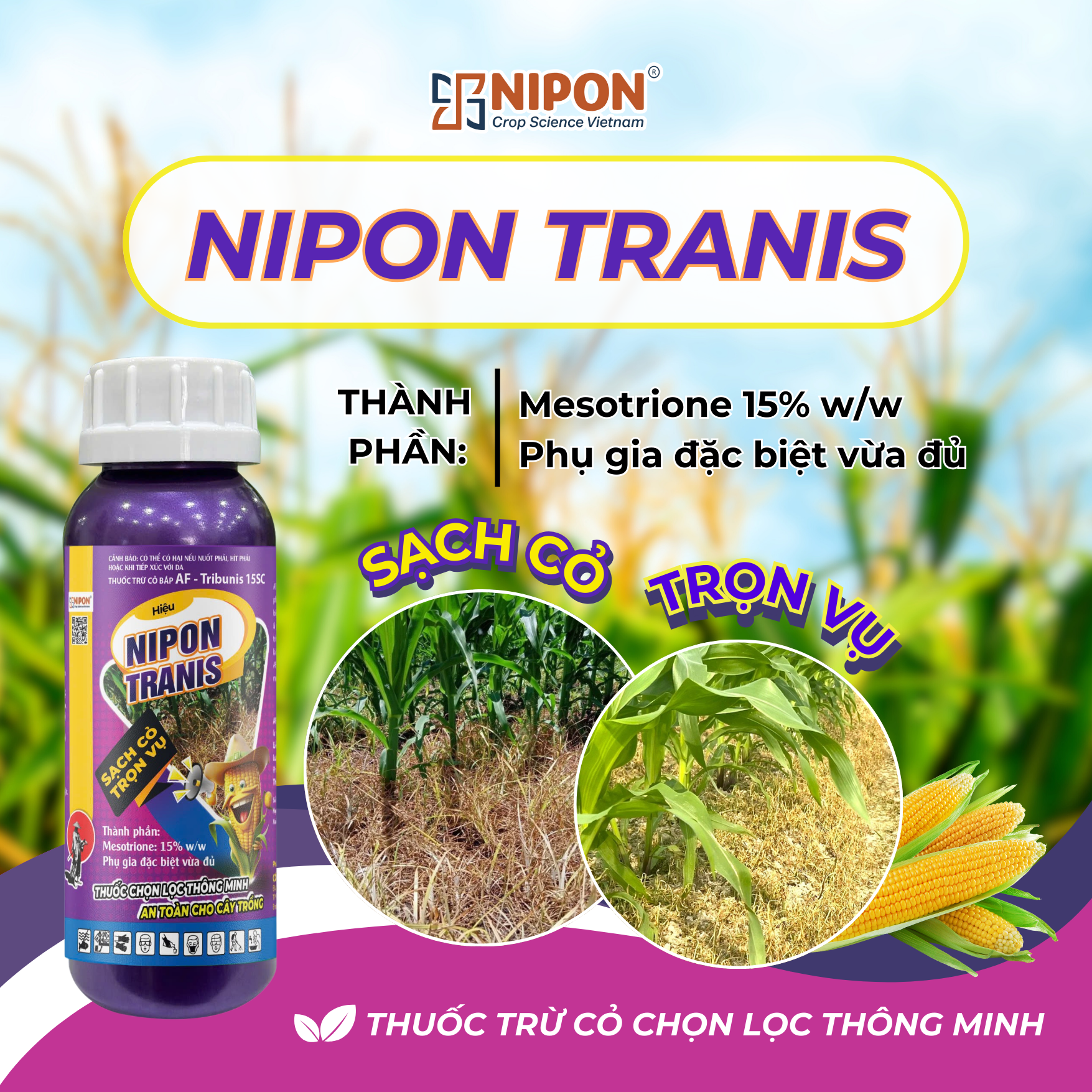NIPON TRANIS